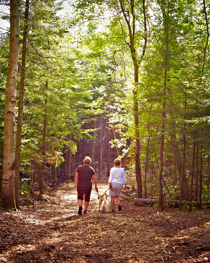 Reserving a Lot Laurentians