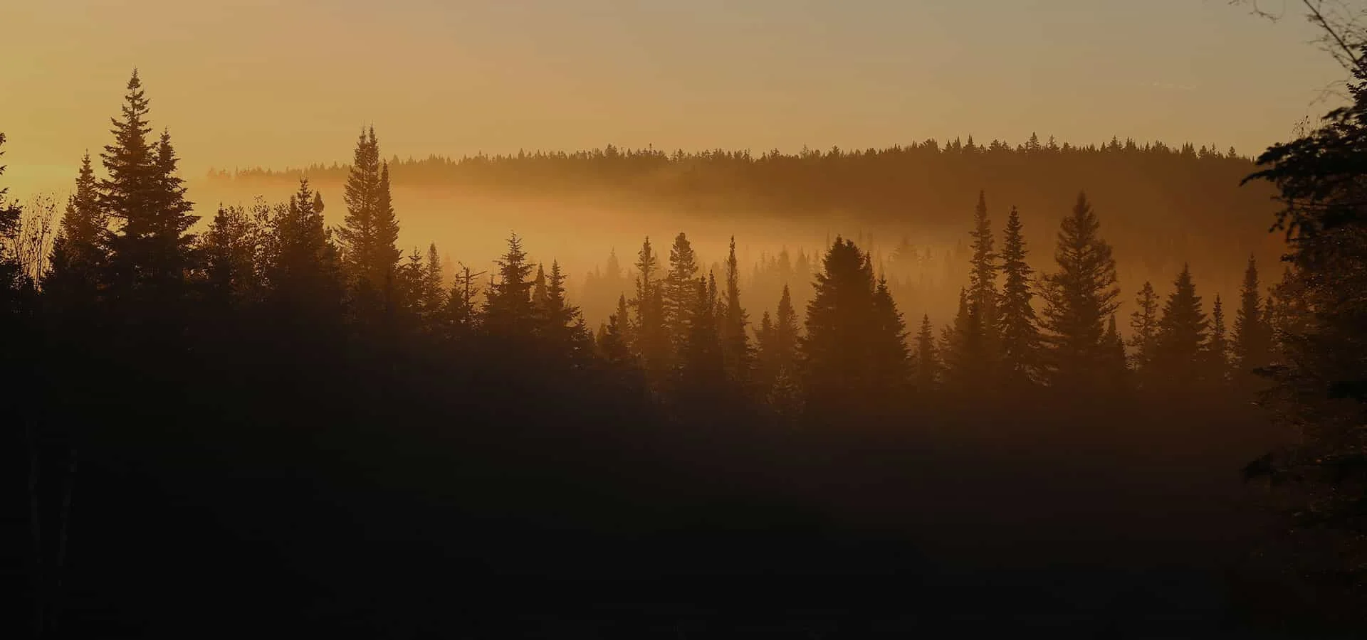 Nouveaux terrains
